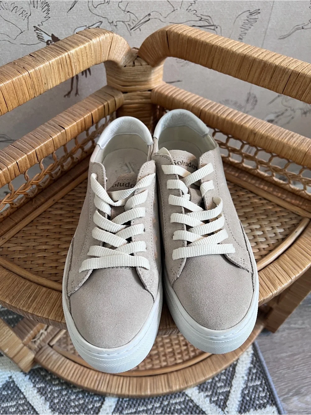 Anthropologie size brand